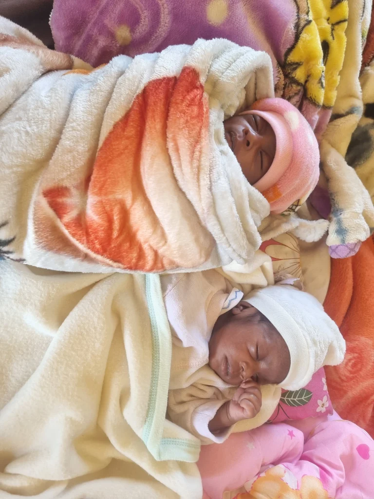 Newborn twins wrapped in blankets