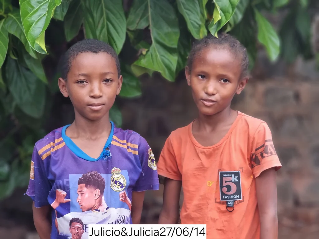 Twin children and mothers of the AMEJ association, Mananjary